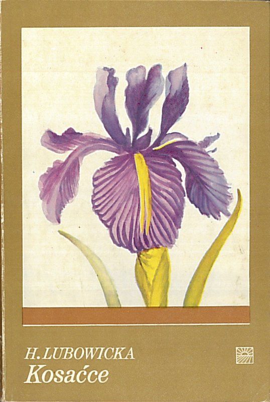 Kosaćce, Hanna Lubowicka