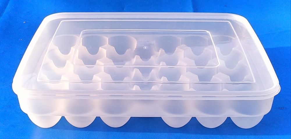 Лоток под 34 яйца прозрачный пластиковый закрывающийся
