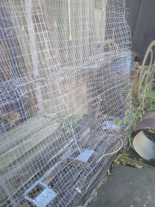 Продам клітку велика для кроликів на 10секцій