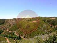 Quinta para Venda em Monchique, Algarve