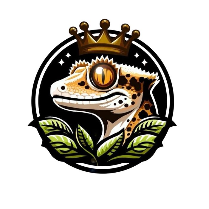 Papka gekon 30g, pangea, gecko nutrition