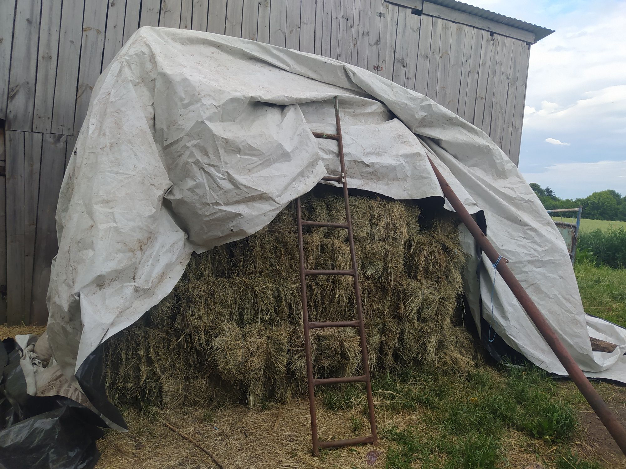 Продам  тюки різно кос