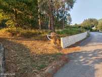 Terreno c/viabilidade construtiva com 1.448m2 Anais-Ponte de Lima