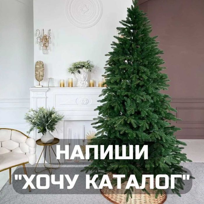 ‼️ Лита ялинка ковалівська, буковельска ПРЕМІУМ 1.5 / 1.8 / 2.1 / 2.5