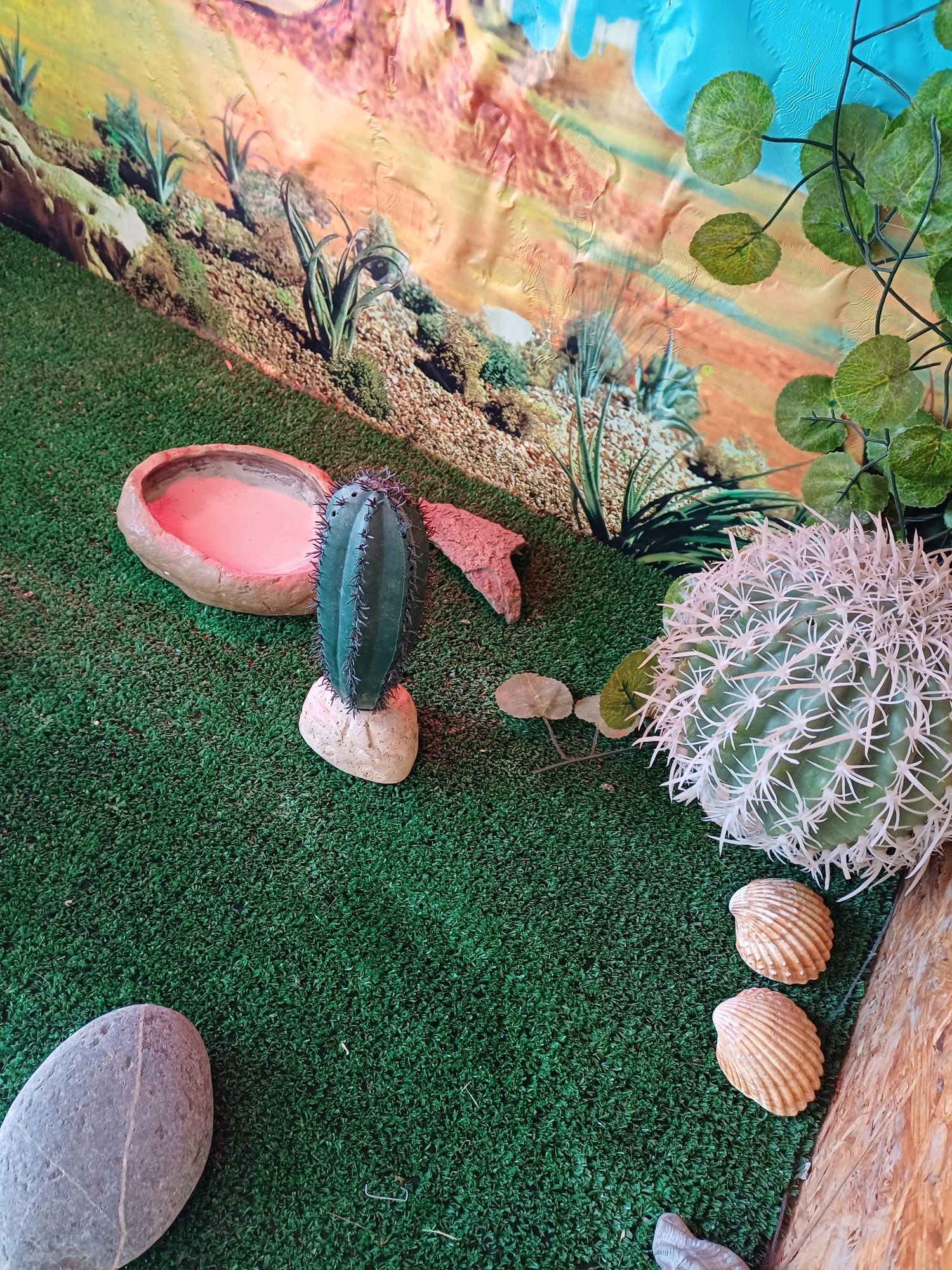 Terrario para répteis com acessorios