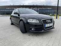 Audi A3 8p lift 1.9 TDI