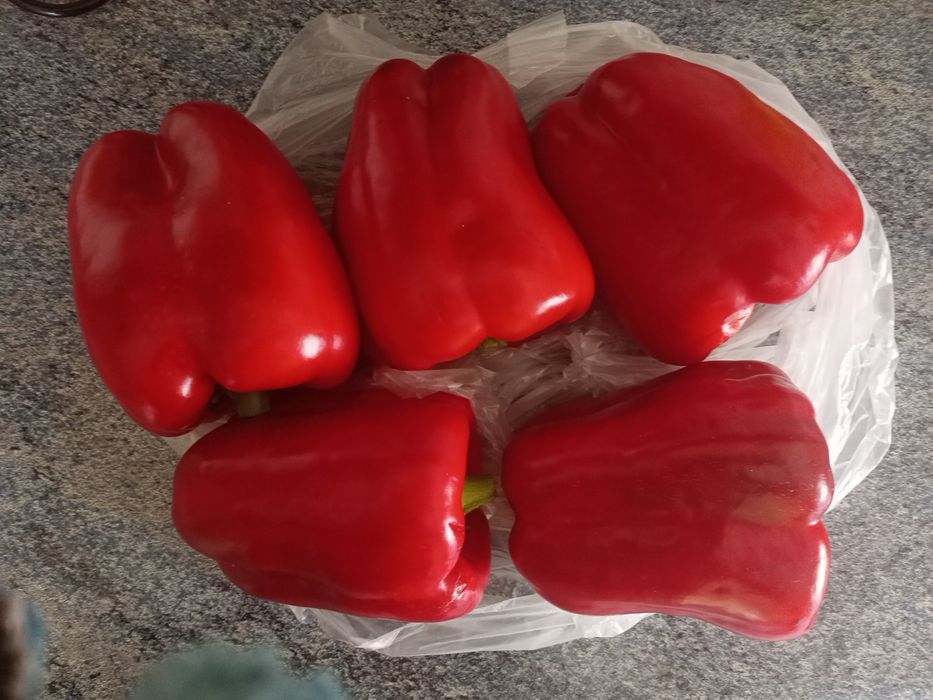 Papryka czerwona 10 kg