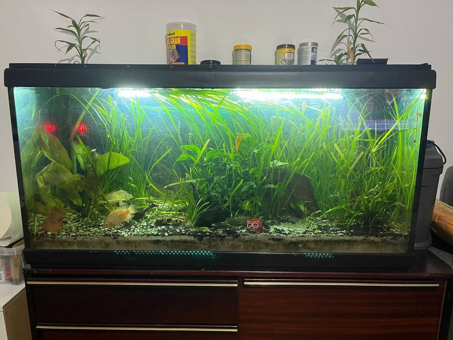 Vendo aquário 200L