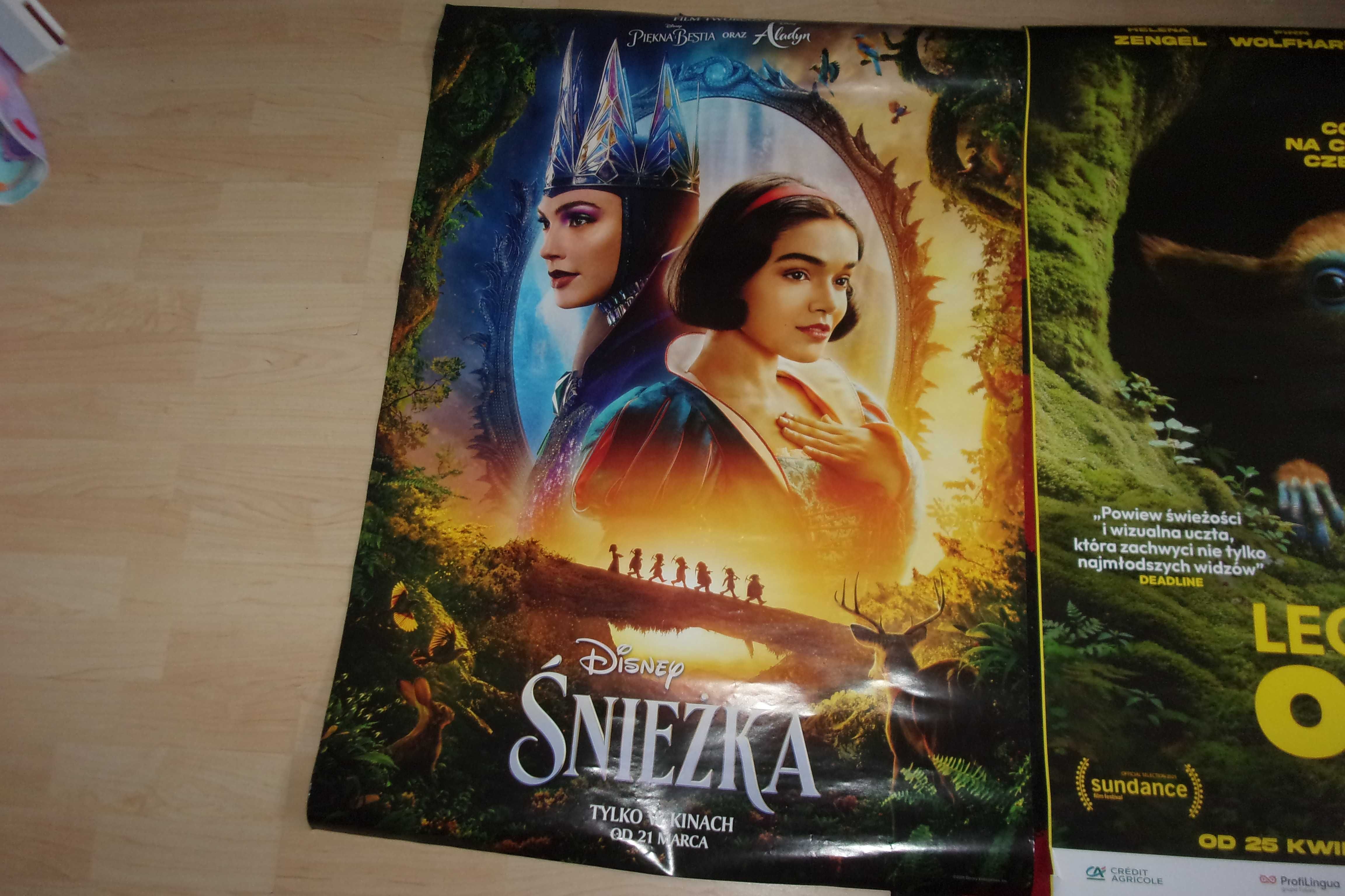 plakat filmowy legenda ochi Śnieżka