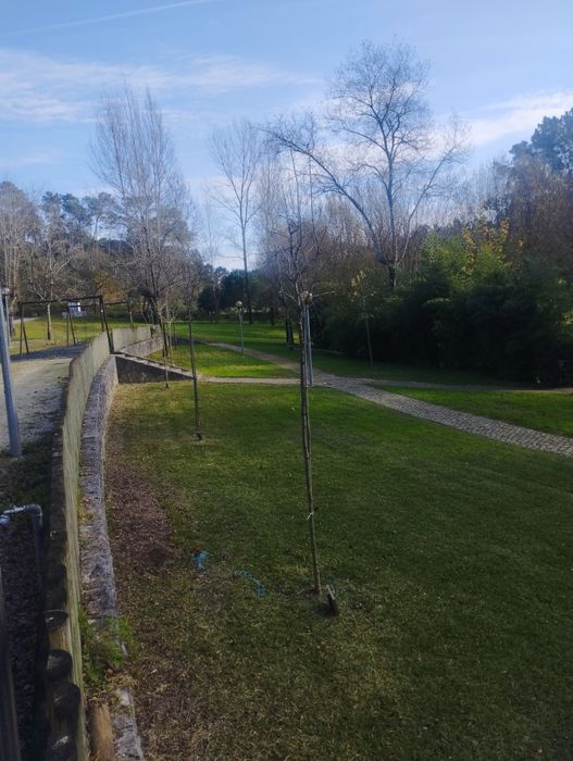 Jardinagem e limpezas em geral