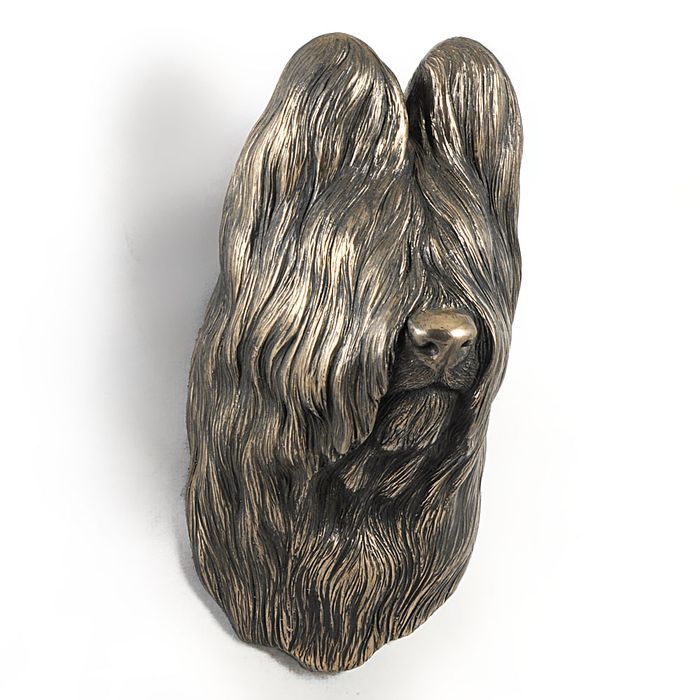Owczarek francuski Briard głowa wisząca Art-Dog