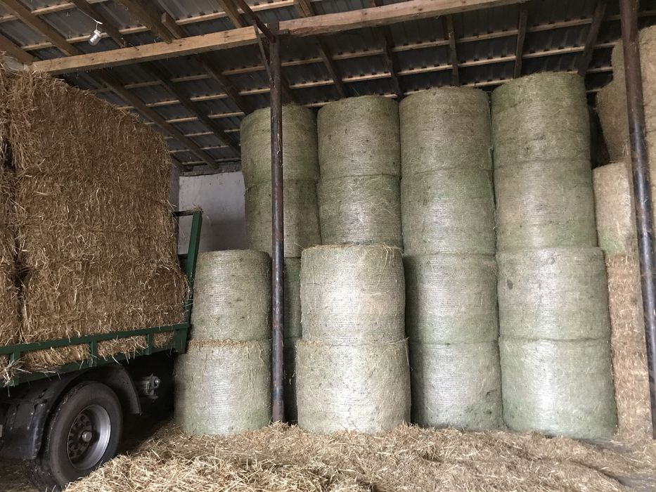 Siano pierwszy pokos