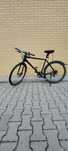 Rower kross Inzai w rozmiarze L.