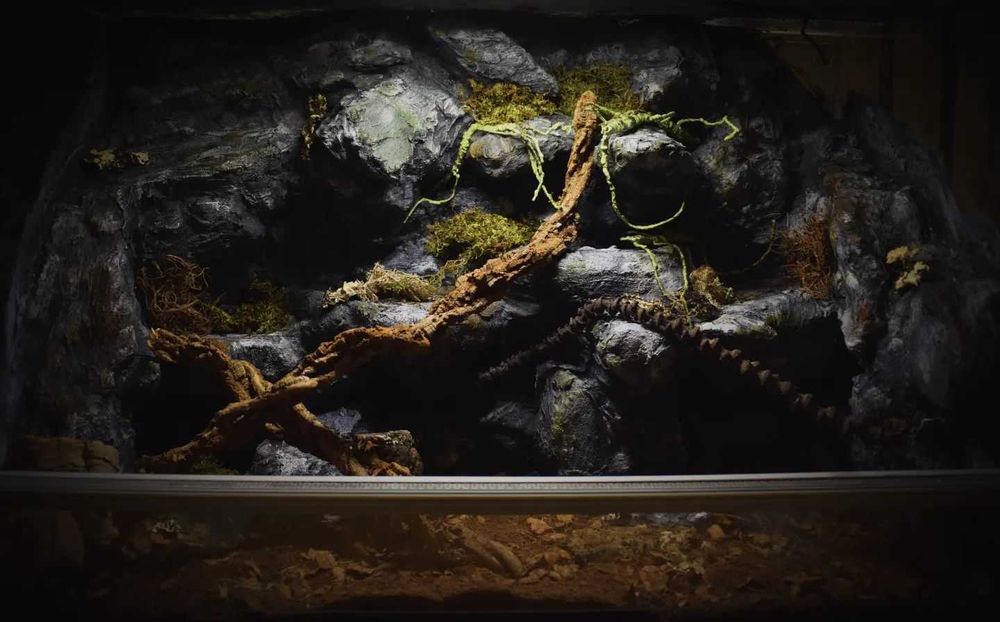 Terrarium na wymiar!
