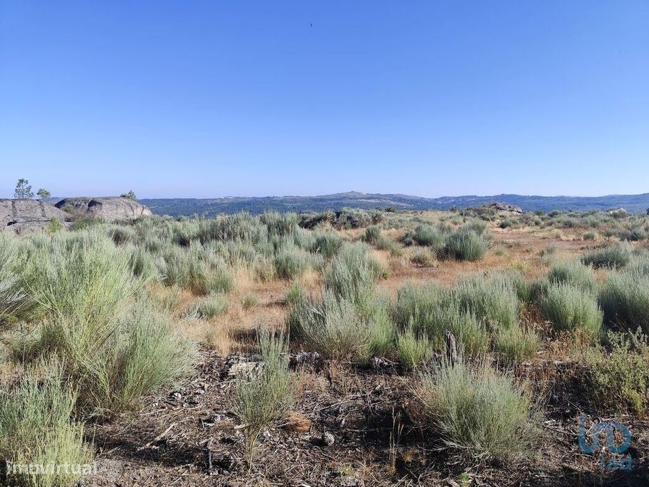 Terreno em Sernancelhe e Sarzeda de 51606,00 m2