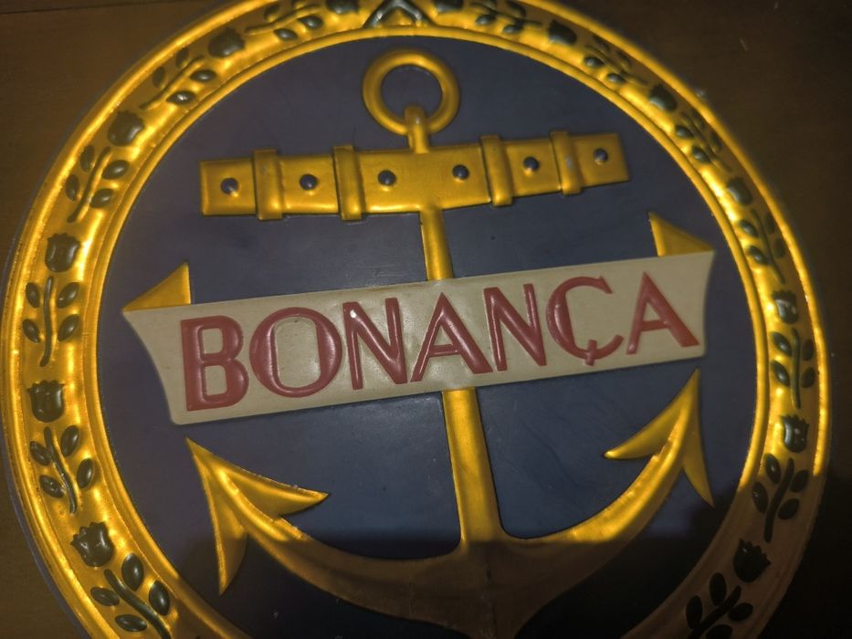 Chapa seguros Bonança