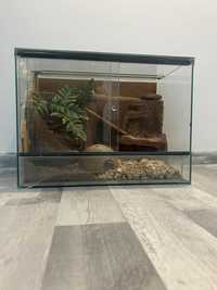 Terarium używane