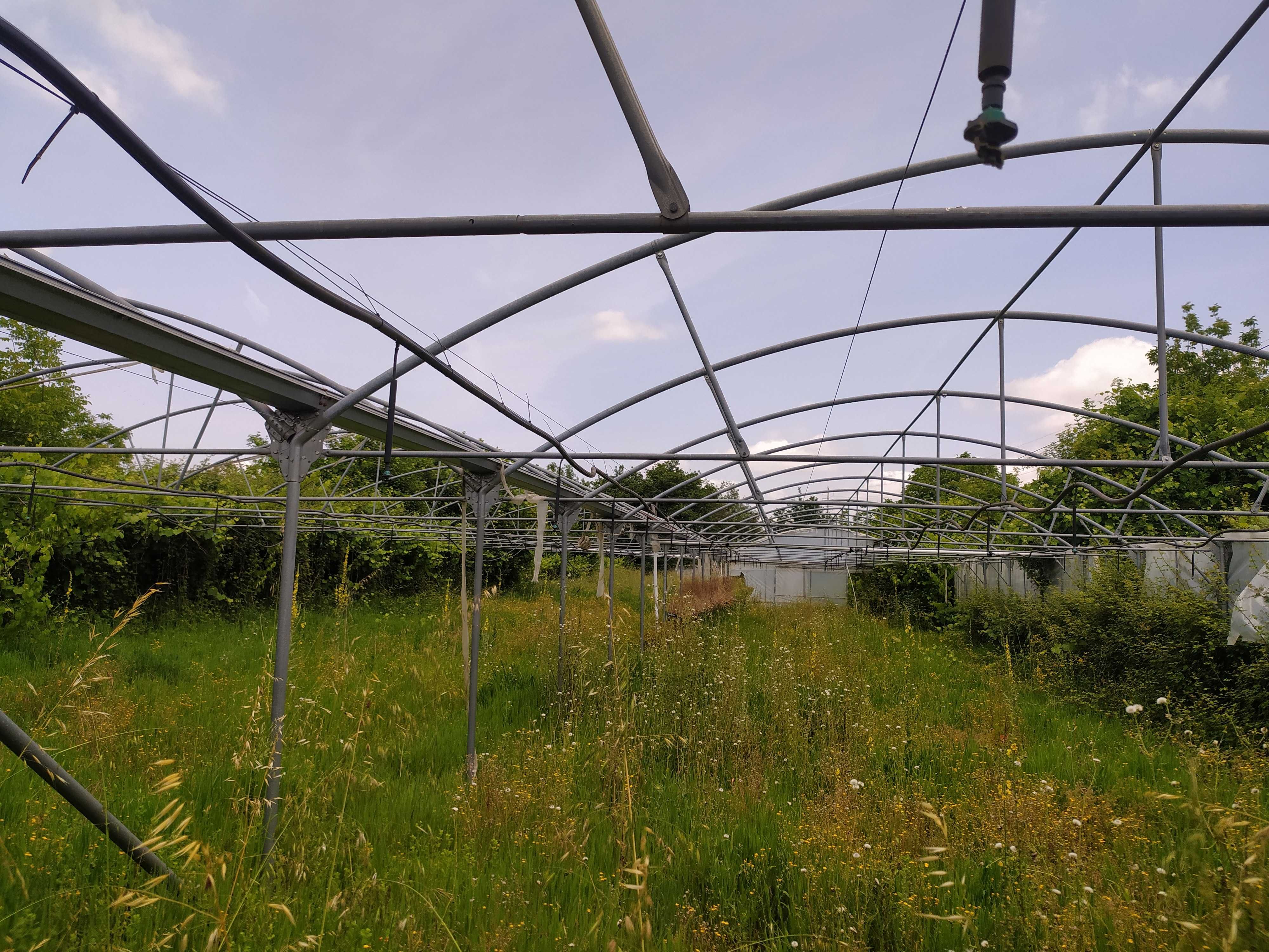 Vendo Terreno Agrícola na Lousã