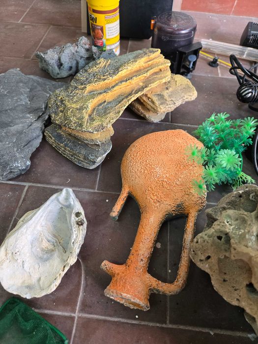 Aquario com acessorios