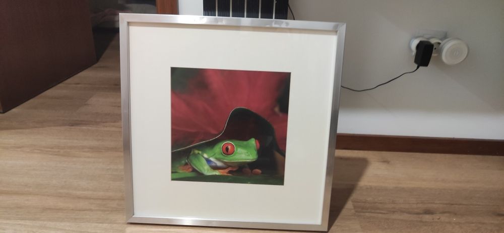 Quadros  ikea vários