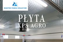 Sufit Wentylacyjny Perforowany Płyty Izolacyjne Styrodur XPS AGRO 4 CM