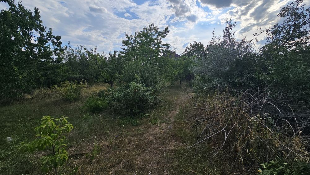 Продам земельну ділянку Соколівське біля Жадова