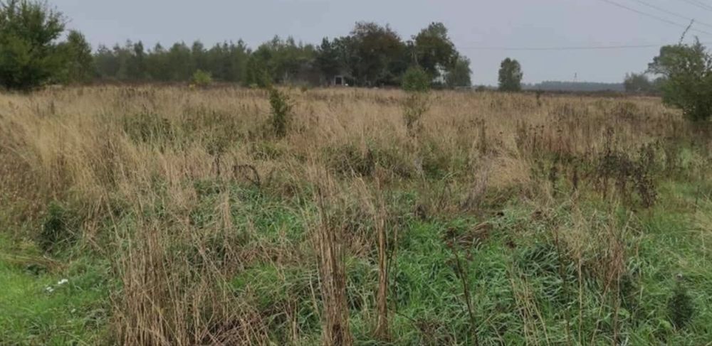 Sprzedam ziemie 4.20 ha 3.48 ha klasa IV i 0,72 ha klasy V i nieużytki
