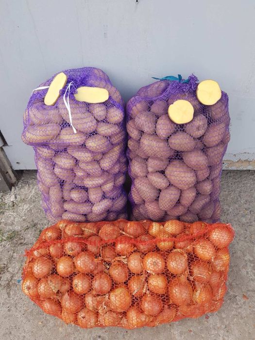 Продам картоплю та овочі