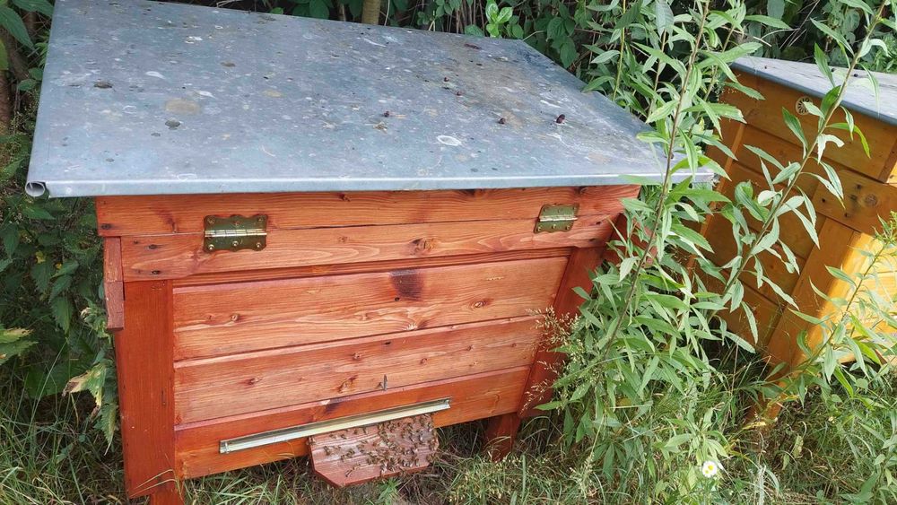 Miód, rodziny pszczele/odkłady, ule warszawskie poszerzane/