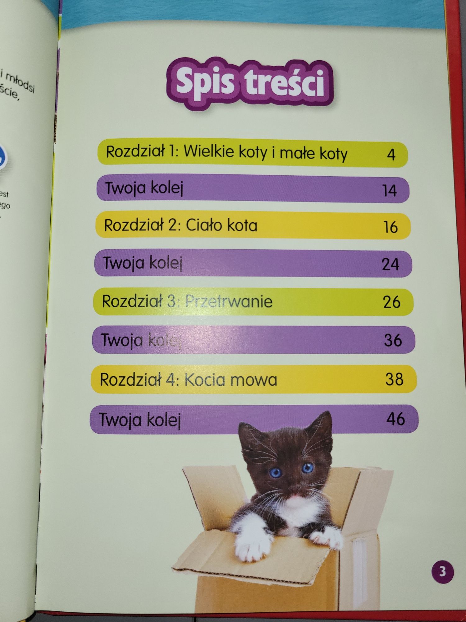 Książka o kotach