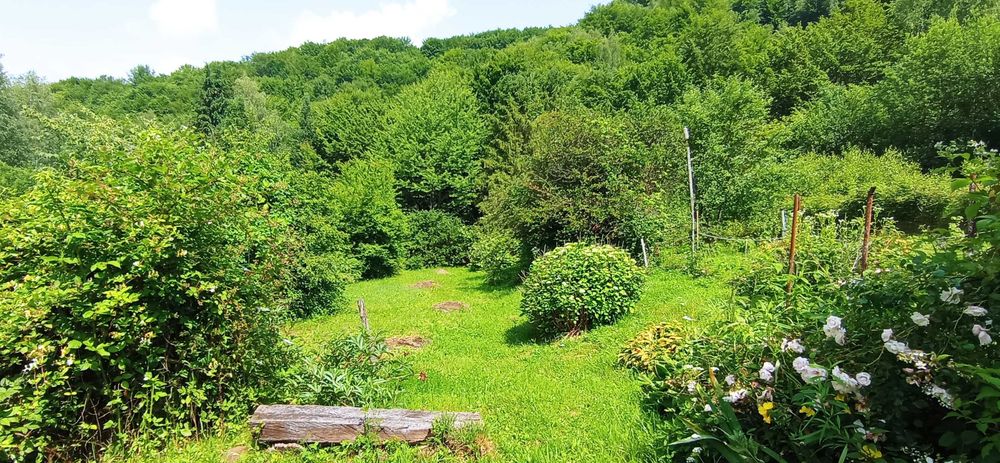 Ціну знижено! Продаємо дачу курорт Поляна Закарпатської області