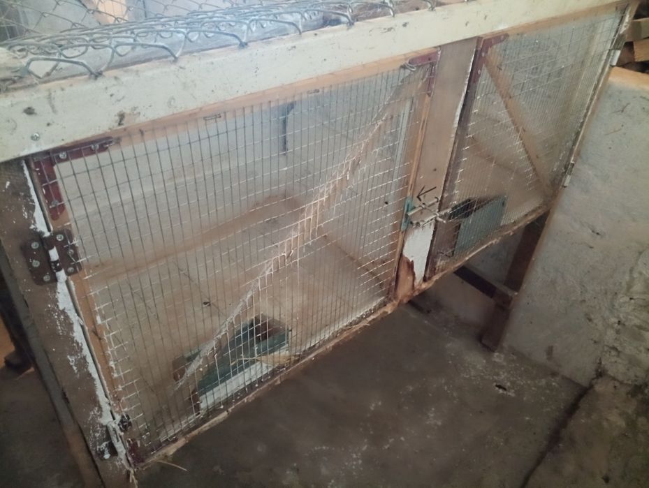 Клітка для кролів