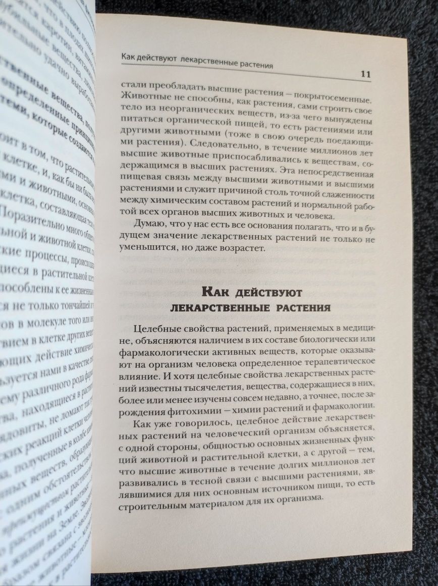 Щадилов Евгений. Огород от всех невзгод.