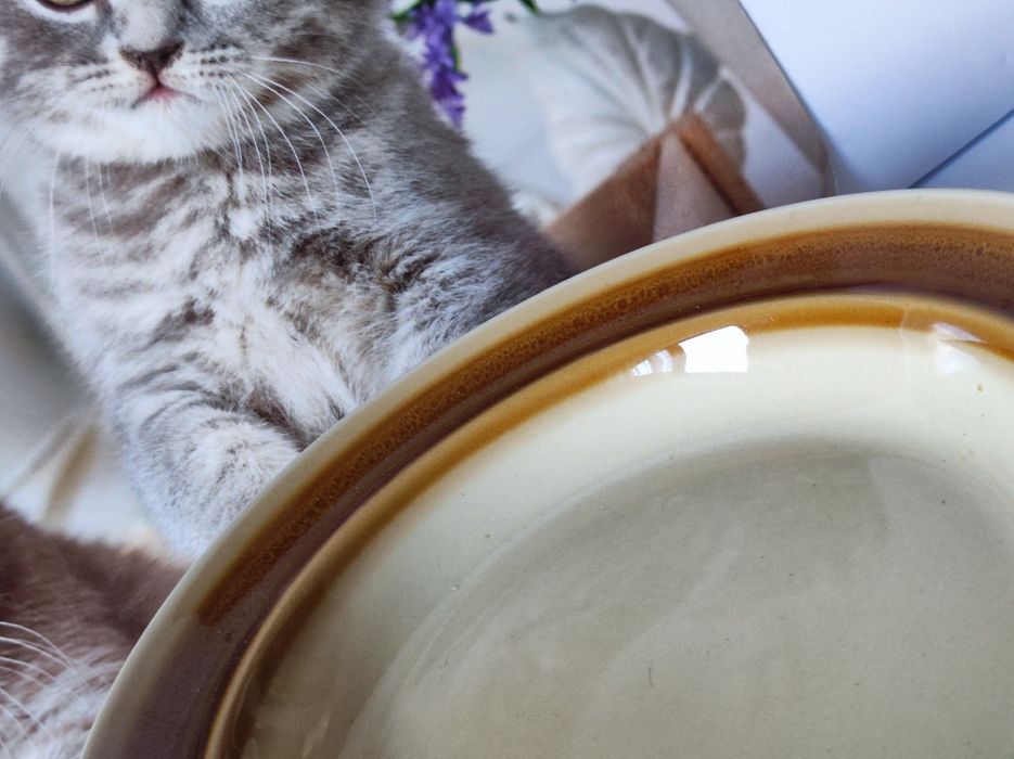 Talerze Tułowice głębokie deserowe porcelit kolekcje 9 sztuk