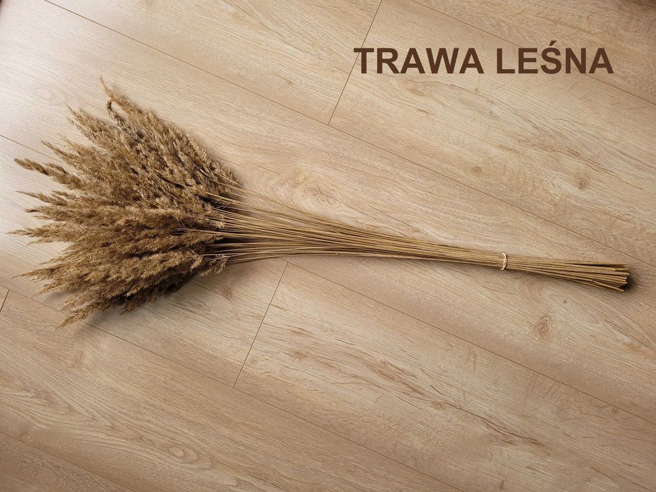 Pęczki suszone bukiety kwiaty / trawy ozdobne / boho