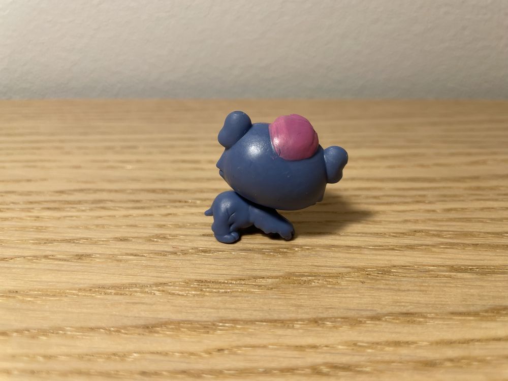 Miś koala littlest pet shop