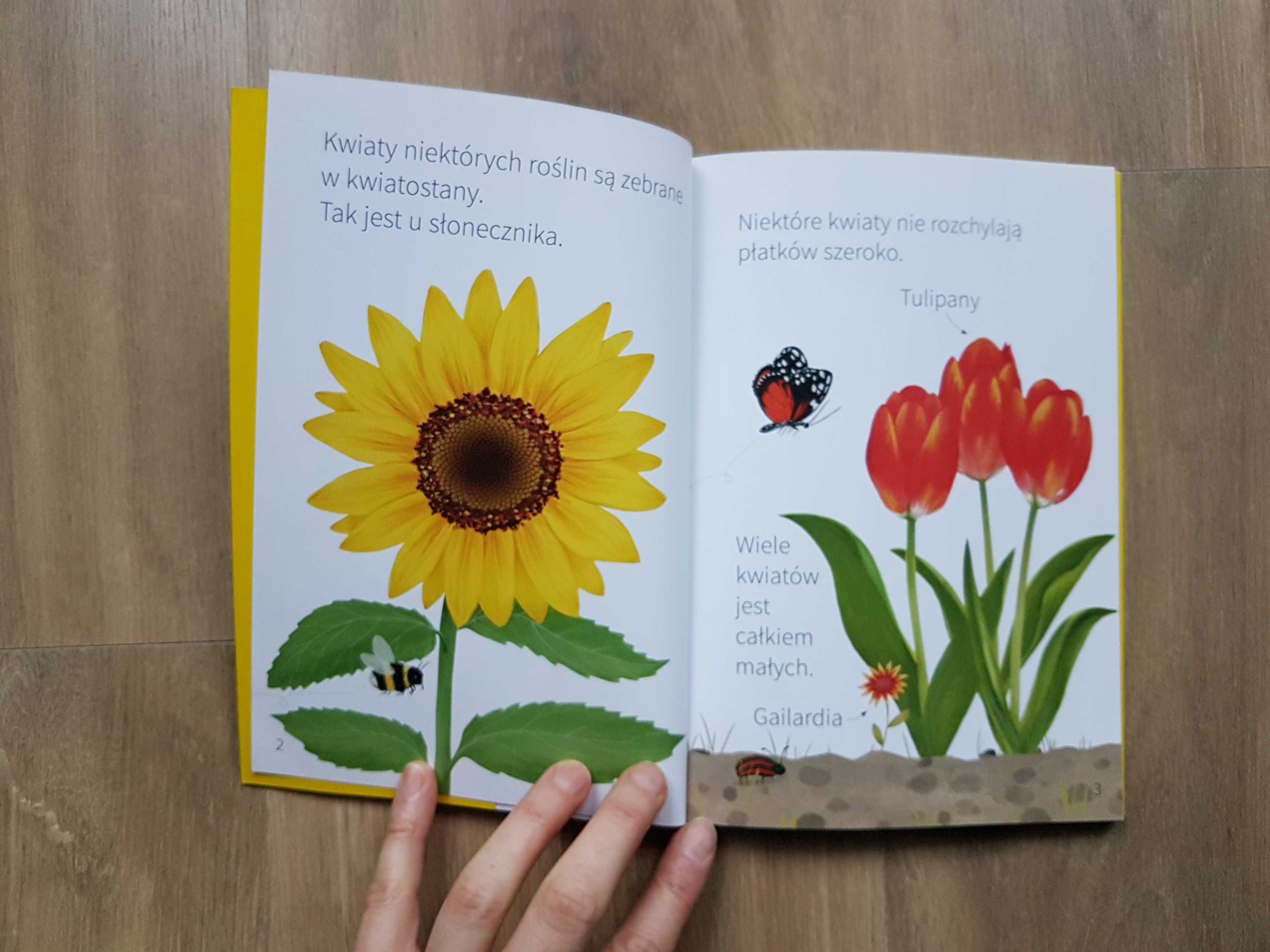 Młodzi przyrodnicy Kwiaty Wilga / GW Foksal 2019 rok Nauka czytania