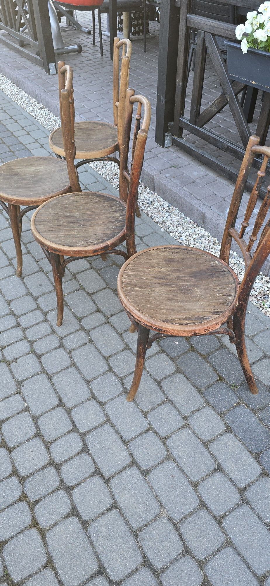 Thonet Krzesła kpl. 4 szt.