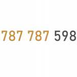ZŁOTY NUMER 787_787_598