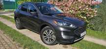 Ford Escape Ford Escape 2020 1.5