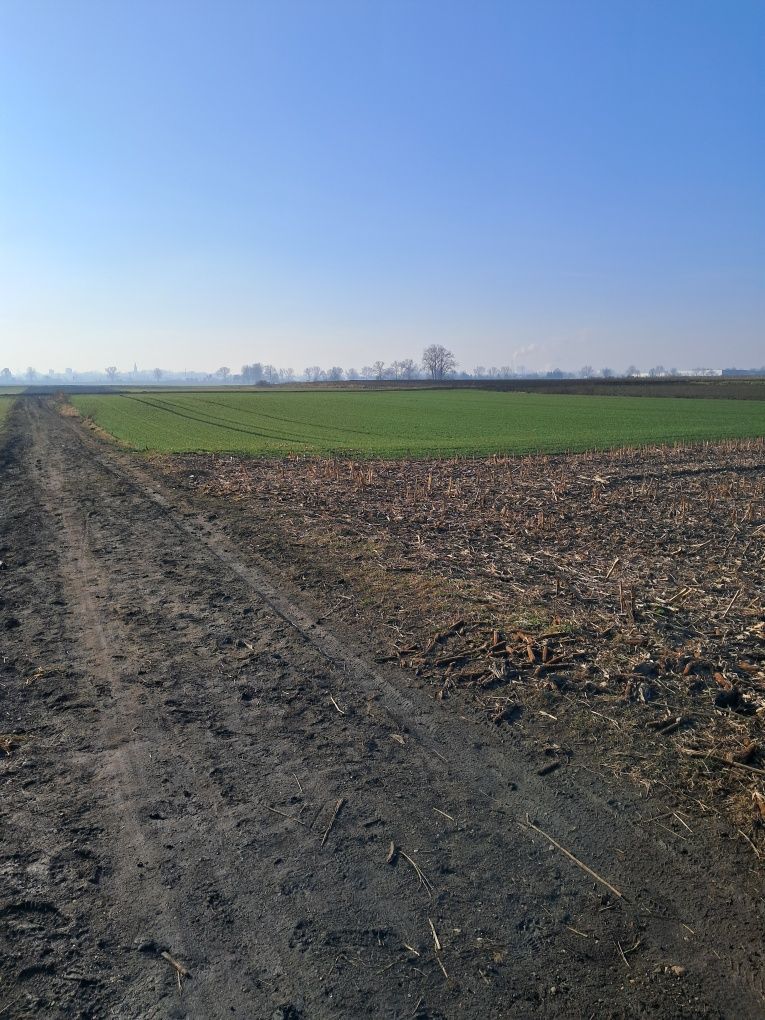 Działka na sprzedaż