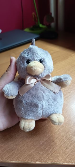 Mała maskotka kaczuszki