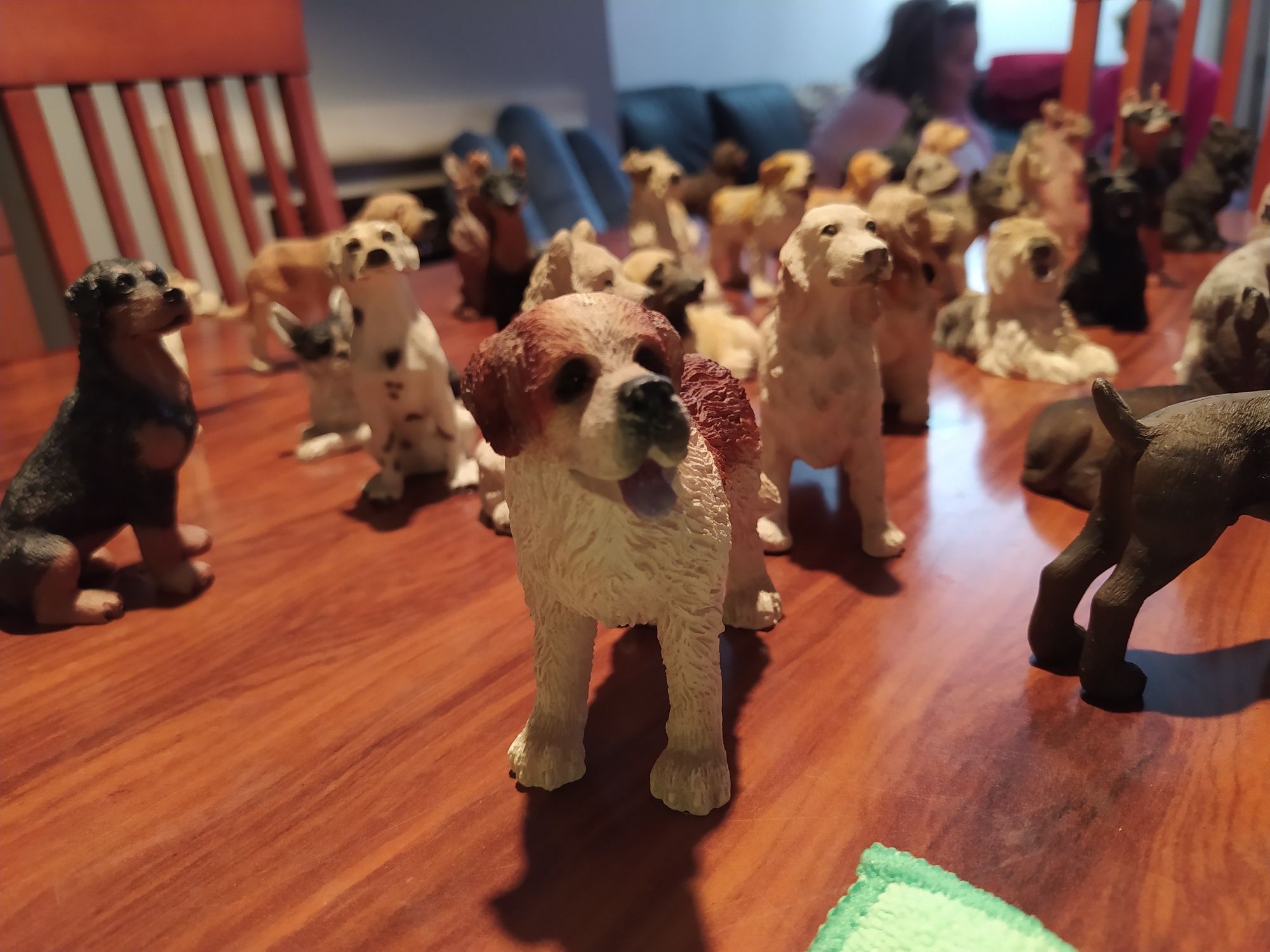 43 miniaturas de cães