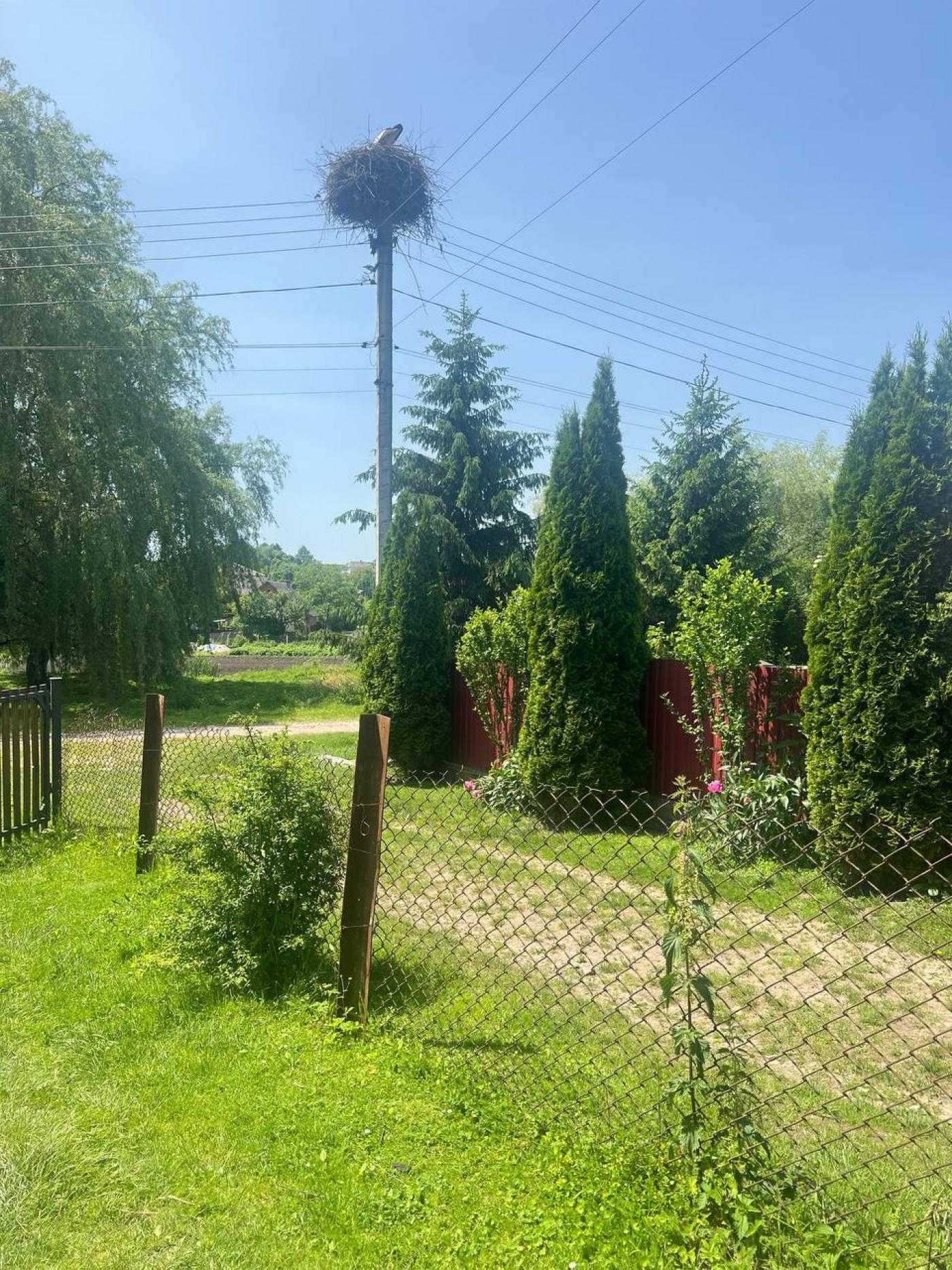 Продається земельна ділянка під забудову, с. Віжомля,