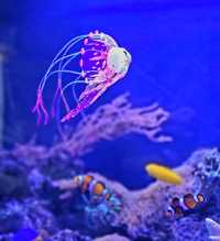 Luminescencyjna świecąca meduza ozdoba akwarium nie tylko morskiego