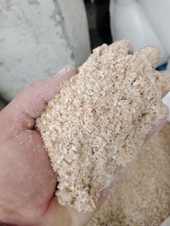 Otręba pszenna żytnia 1100 tona