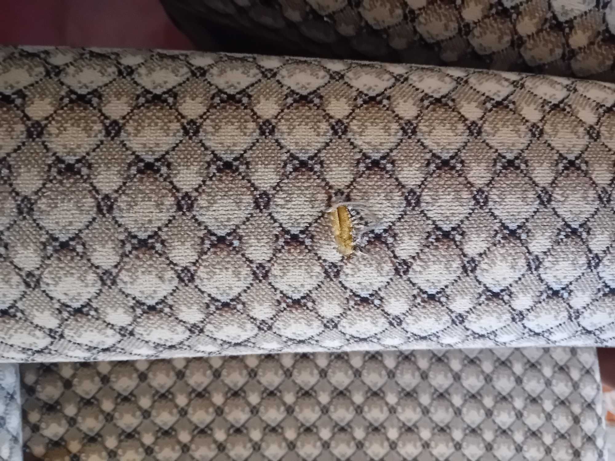 Conjunto de sala