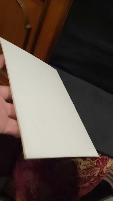 Professor M. G. Pereira de Barros and the Astronomical Observatory