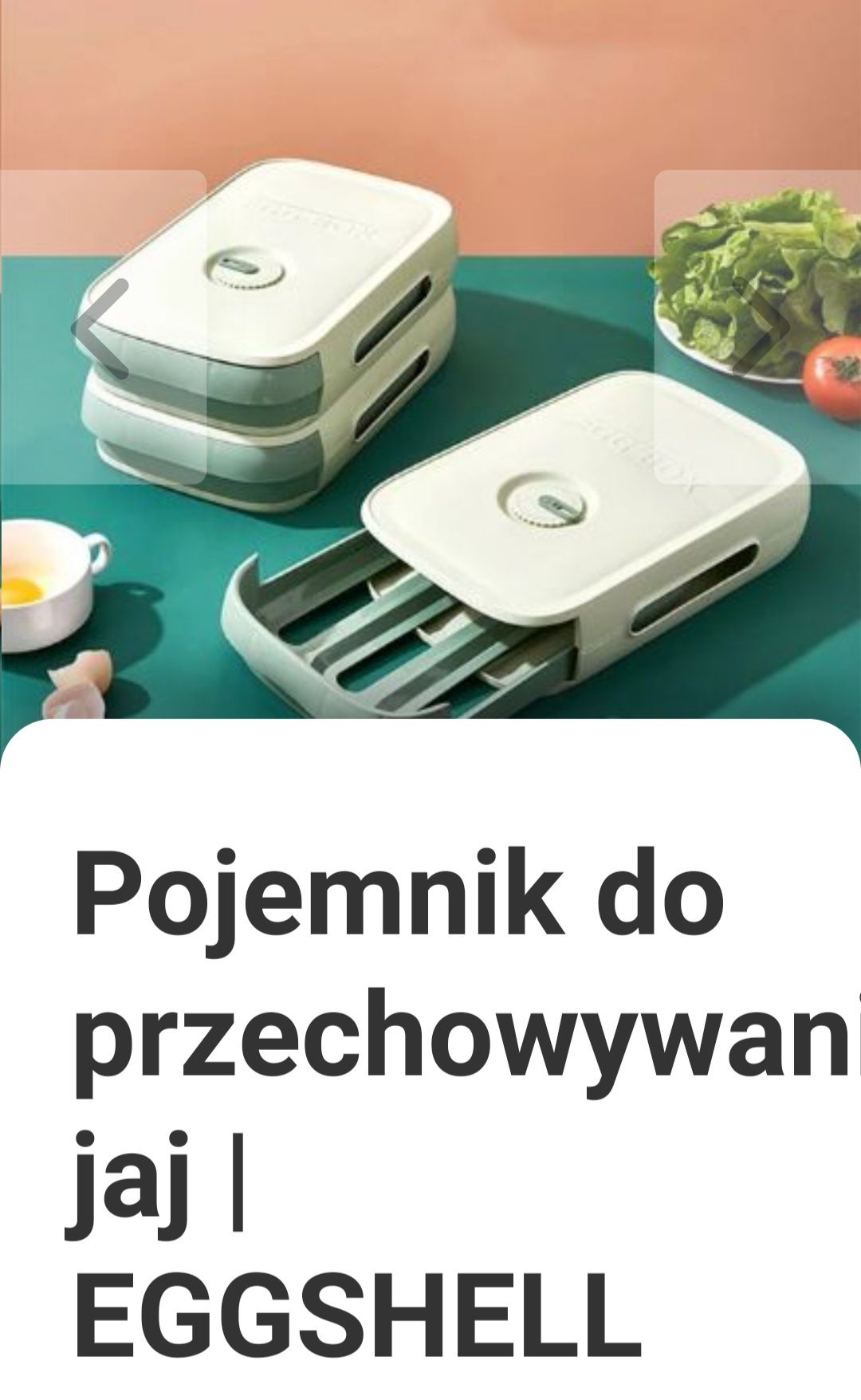 Pojemniki do przechowywania jajek w lodówce 18-20 jajek