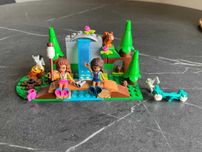Seria Lego Friends